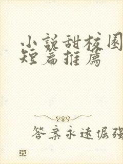 小说甜校园言情短篇推荐