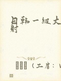 日韩一级大片内射