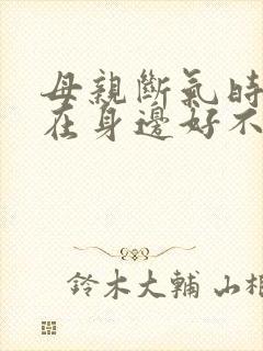 母亲断气时女儿在身边好不好封面