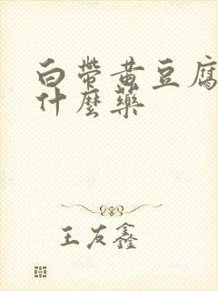 白带黄豆腐渣用什么药