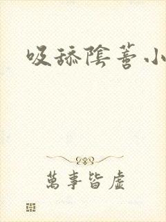 吸舔阴蒂小说封面