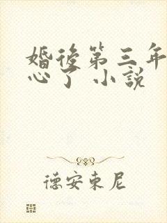 婚后第三年她变心了 小说
