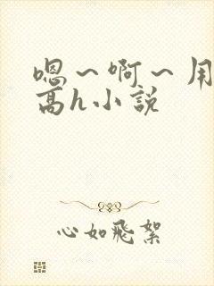 嗯～啊～用力～高h小说封面