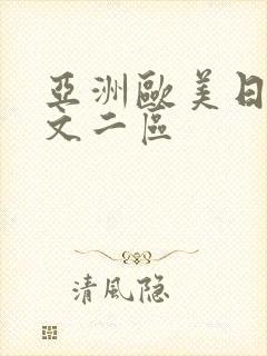 亚洲欧美日韩中文二区