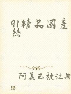 91精品国产黑丝