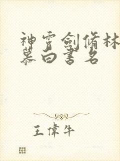 神霄剑修林枫苏慕白书名封面