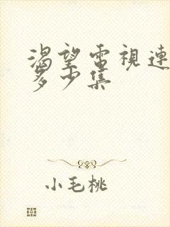 渴望电视连续剧多少集封面