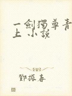 一剑独尊青鸾峰上 小说