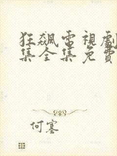 狂飙电视剧40集全集免费在线观看