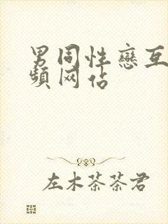 男同性恋互艹视频网站