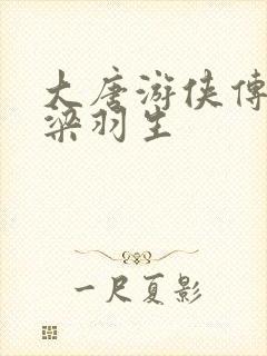 大唐游侠传小说梁羽生