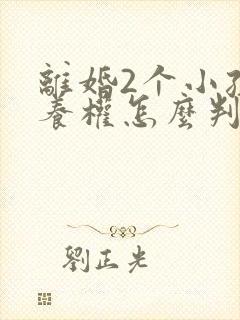 离婚2个小孩抚养权怎么判定