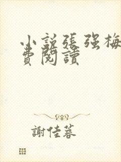 小说张强梅姨免费阅读