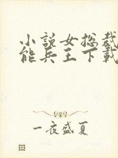 小说女总裁的全能兵王下载