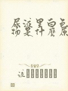 尿液里白色沉淀物是什么原因