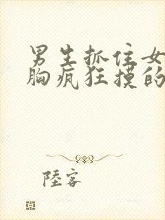 男生抓住女生的胸疯狂摸的视频