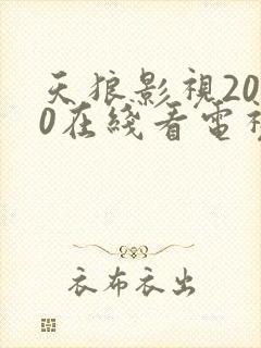 天狼影视2020在线看电视剧