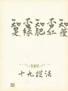 知否知否知否应是绿肥红瘦好看吗