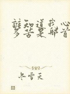 谁知道我心里有多苦是哪首歌的歌词