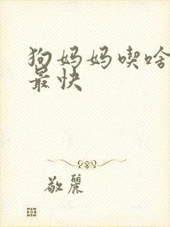 狗妈妈吃啥下奶最快