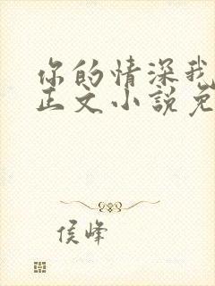 你的情深我不配正文小说免费阅读