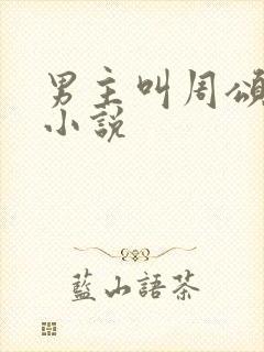 男主叫周颂言的小说