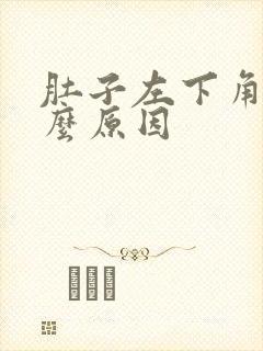 肚子左下角痛什么原因