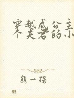 穿越成公主有七个夫君的小说