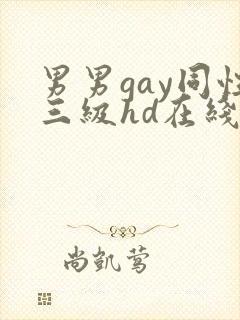 男男gay同性三级hd在线