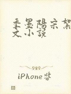 季墨阳宋絮晚全文小说