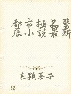 都市极品医神叶辰小说最新章节