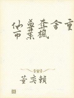 仙尊夺舍重生都市叶枫