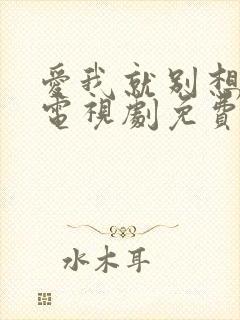 爱我就别想太多电视剧免费播放在线封面