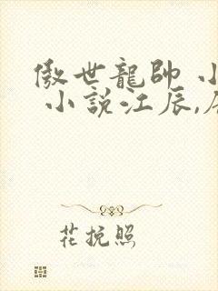 傲世龙帅 小说 小说江辰,唐楚楚封面