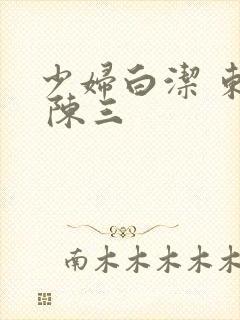 少妇白洁 东子 陈三封面