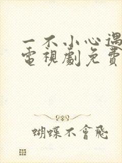 一不小心遇到爱电视剧免费播放