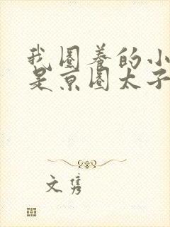 我圈养的小白脸是京圈太子爷短剧