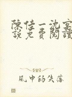 陈佳一沈宴西小说免费阅读封面