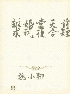 离婚当天前夫跪求我复合短剧免费观看封面