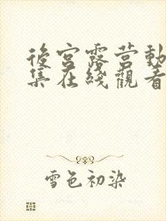 后宫露营动漫全集在线观看