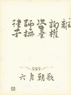 律师咨询离婚孩子抚养权