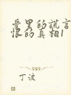 爱里的谎言,仇恨的真相1