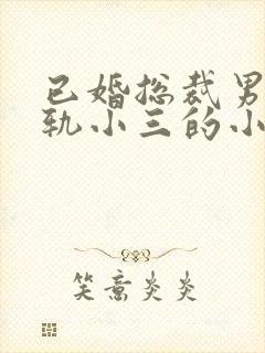 已婚总裁男主出轨小三的小说