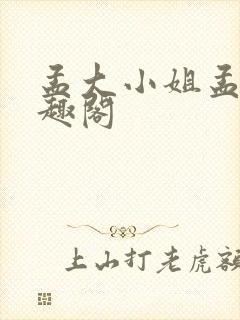 孟大小姐孟葭笔趣阁封面