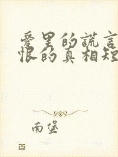 爱里的谎言,仇恨的真相短剧免费观看