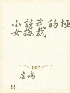 小说我的极品美女总裁