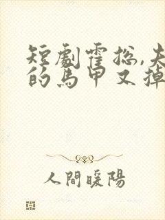 短剧霍总,夫人的马甲又掉了封面