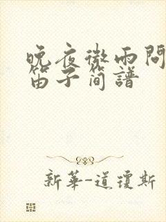 晚夜微雨问海棠笛子简谱封面