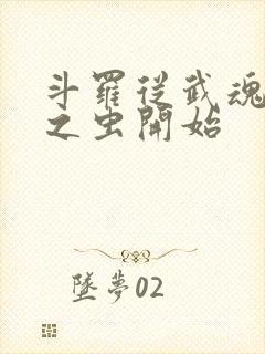 斗罗从武魂是时之虫开始封面