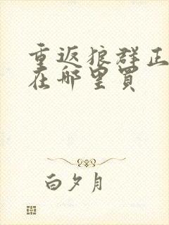 重返狼群正版书在哪里买